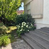 Maison 6 pièces / 138 m² / 171 000 € / MAZAMET
